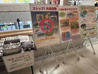 クイズで生物多様性を学ぶの画像