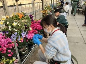 植栽管理の体験の写真