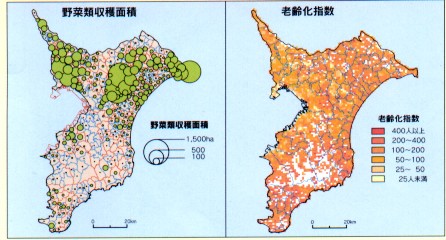 野菜類収穫面積及び老齢化指数