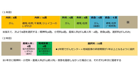 令和7年度研修プログラム1年目、2年目図解