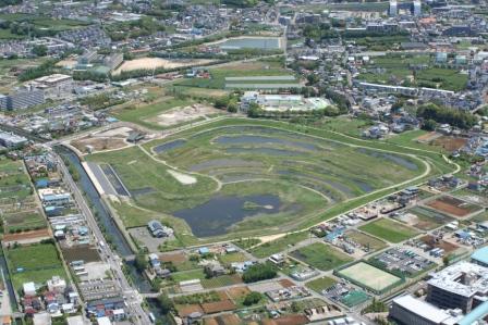 環境への配慮（大柏川第1調節池）