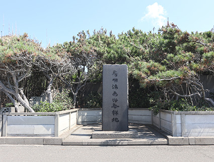 保田海水浴場の写真２