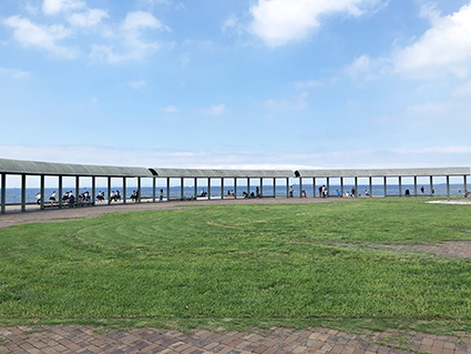 袖ケ浦市海浜公園広場の写真