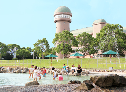 手賀沼親水広場