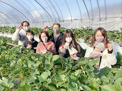 成東いちご狩りの写真1