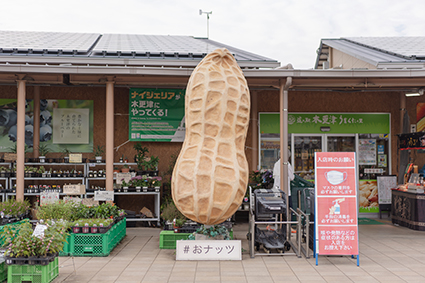 道の駅木更津うまくたの里外観