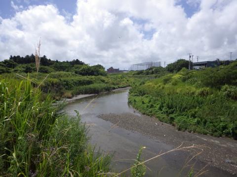 滝川 植生に覆われた施工箇所の写真（平成30年撮影）