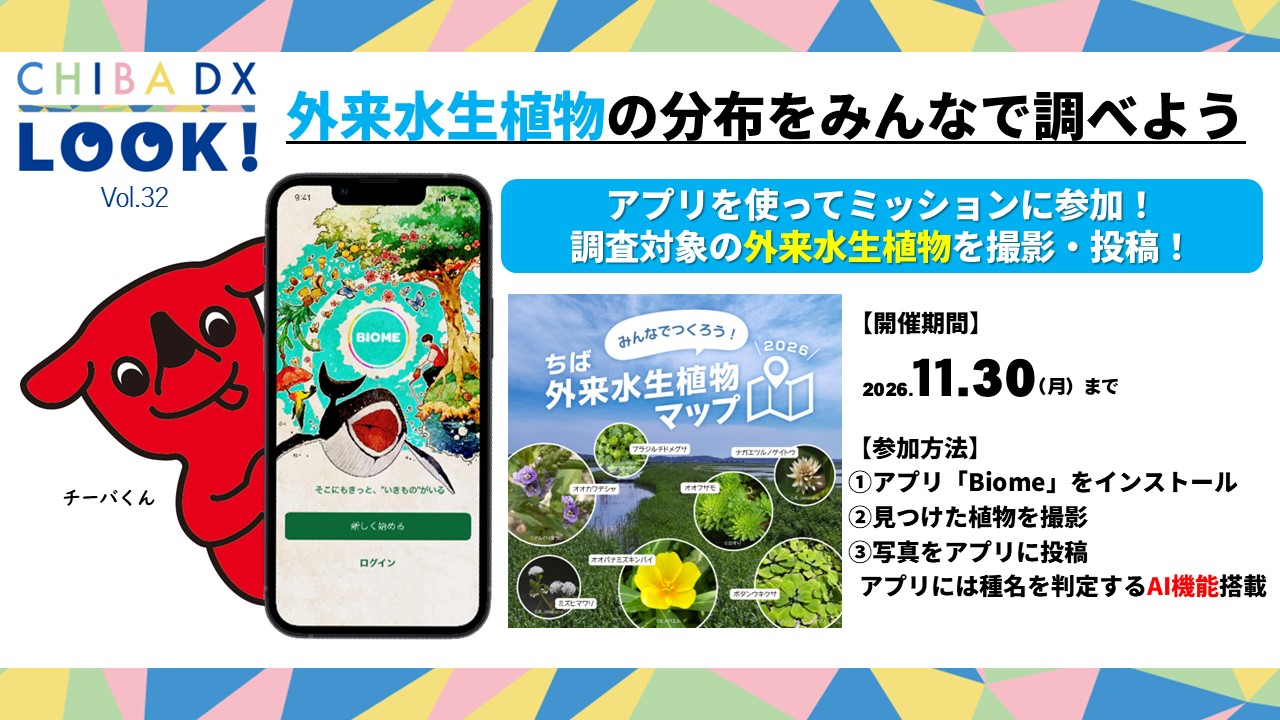 CHIBADXLOOKのバナー画像及び詳細はこちらを御確認ください