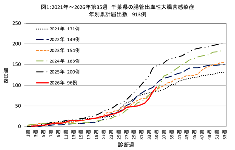 図1、2021年から2026年第35週までの千葉県の腸管出血性大腸菌感染症の年別累計届出数のグラフ