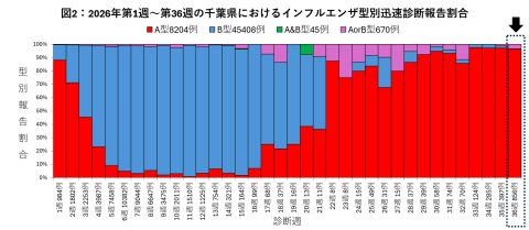 2026年第36週までの千葉県のインフルエンザ迅速診断検査の結果