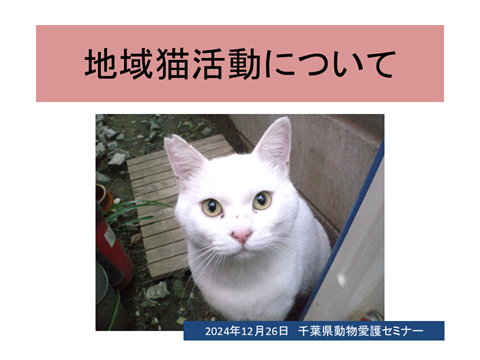 動画へのリンク（地域猫活動について）