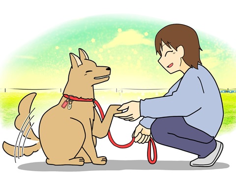 動物の正しい飼い方