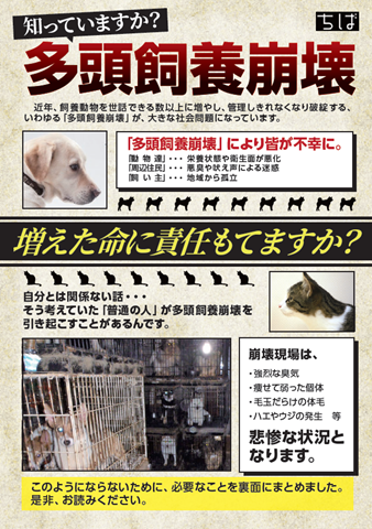 リーフレット