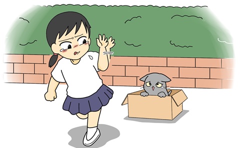 動物の遺棄