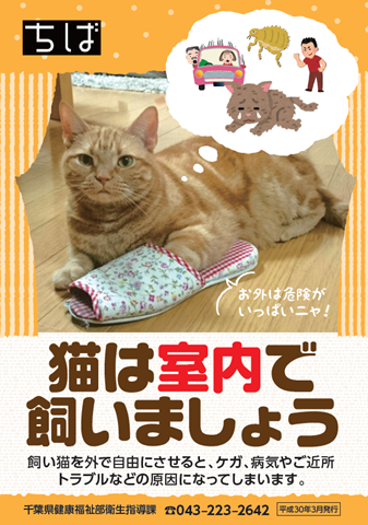リーフレット