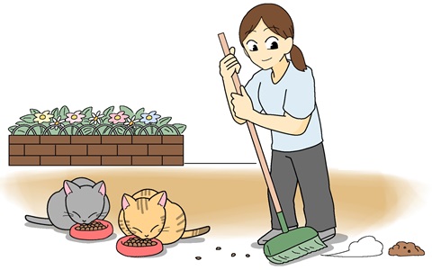 飼い主のいない猫