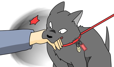 動物による危害
