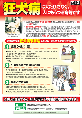 リーフレット