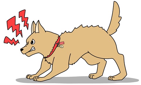狂犬病予防