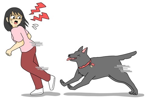 大型犬の逸走