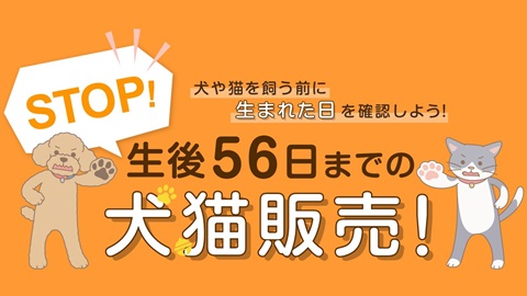 ストップ生後56日までの犬猫販売