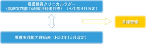 クリニカルラダー