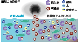 川の自浄作用説明図