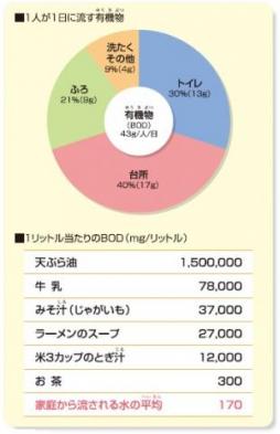 一人が一日に流す有機物（BOD）は43グラム