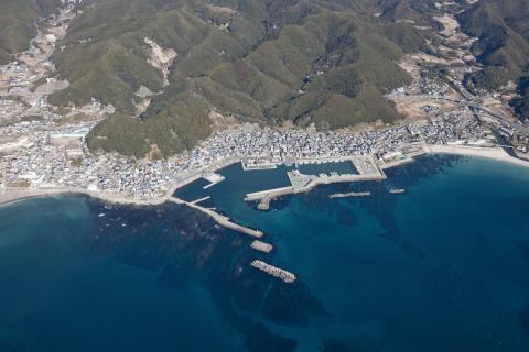 天津漁港の写真