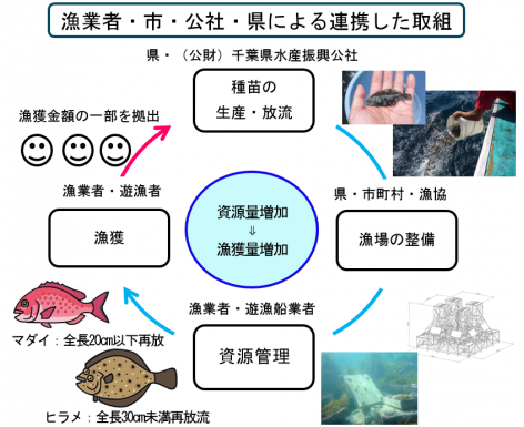 漁業者・市・公社・県による連携した取組