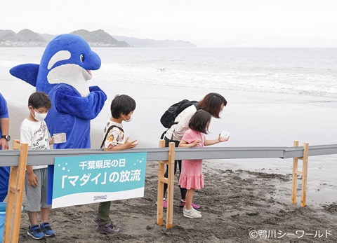 過去のイベント時の様子