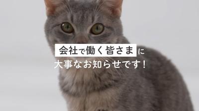 啓発動画サムネイル画像