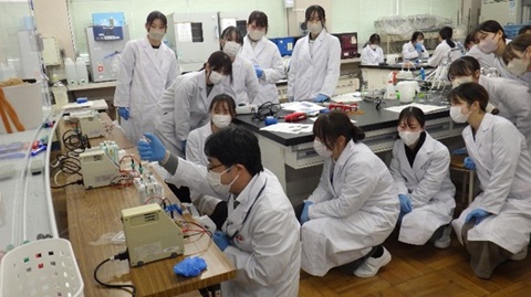 電気泳動の実験の様子