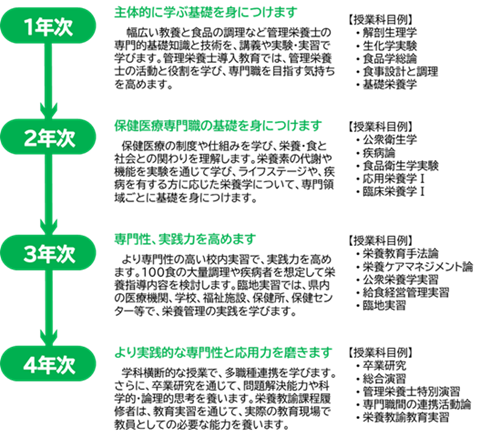 カリキュラムの概要図