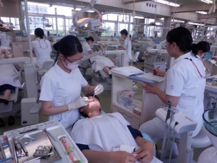 学生実習用歯科診療室における相互実習の様子1