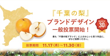 「千葉の梨」ブランドデザイン　一般投票サイトのバナー画像