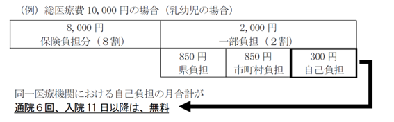 自己負担月額上限の導入図解