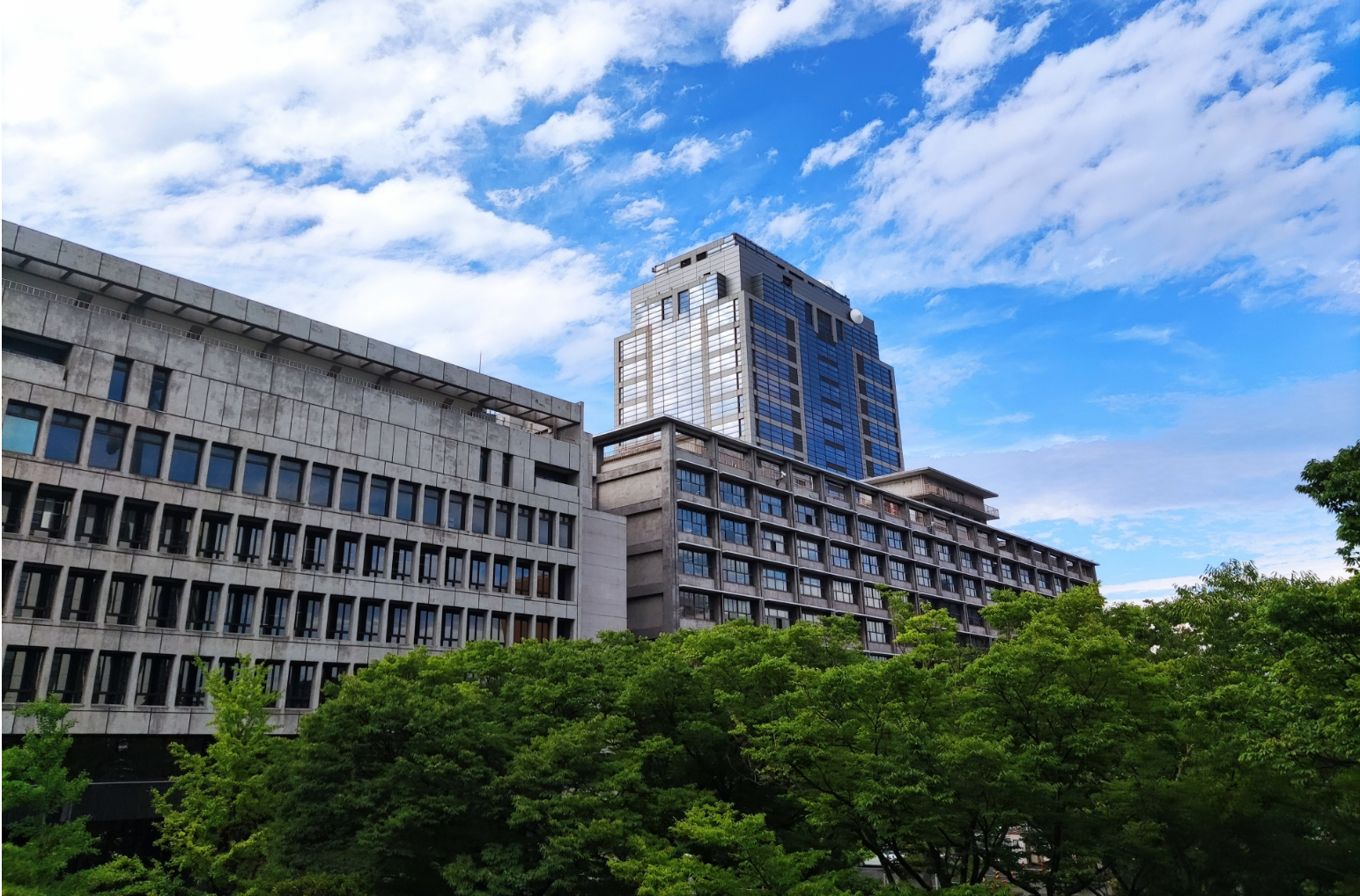 県の仕事・働く環境の画像