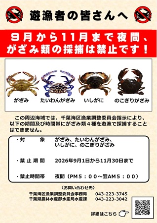 日本語版リーフレット
