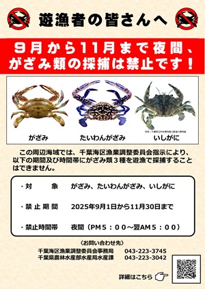 周知チラシ