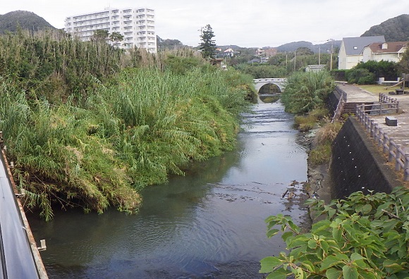 河川上流部　竹木の繁茂