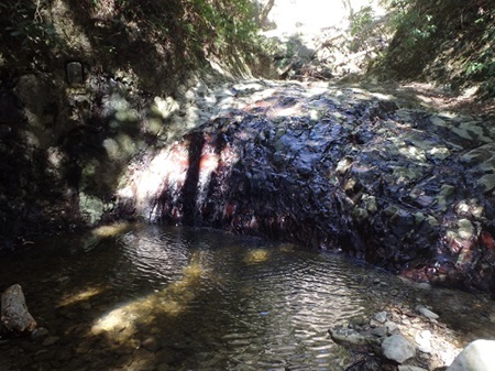 沢山不動滝の写真