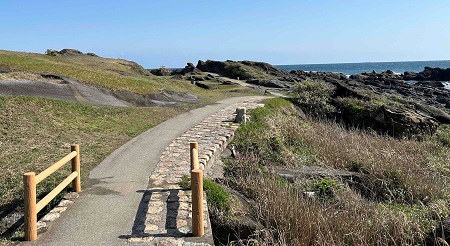 野島崎灯台下の遊歩道の写真