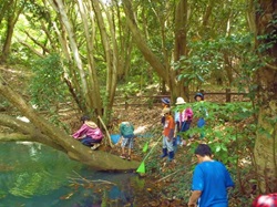 大房岬の湧水池を掃除する人たちの写真