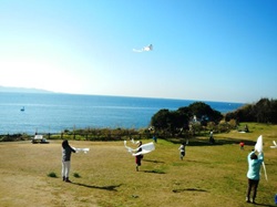 大房岬で凧あげをしている写真