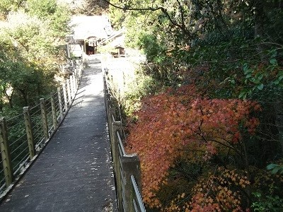 かじか橋の紅葉の写真