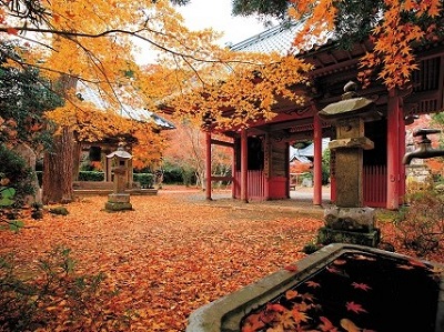 小松寺の紅葉の写真