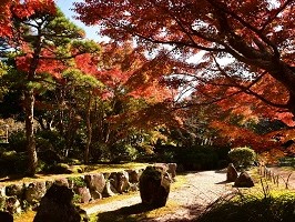 城山公園の紅葉の写真
