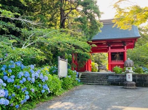 日運寺の写真