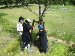 木の幹に掛けられた謎を解く子どもたちの写真